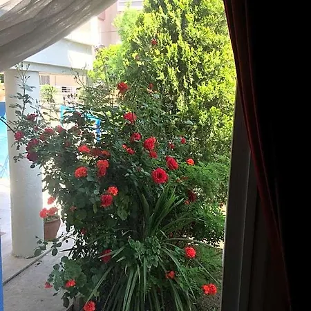 Marigold Hostel